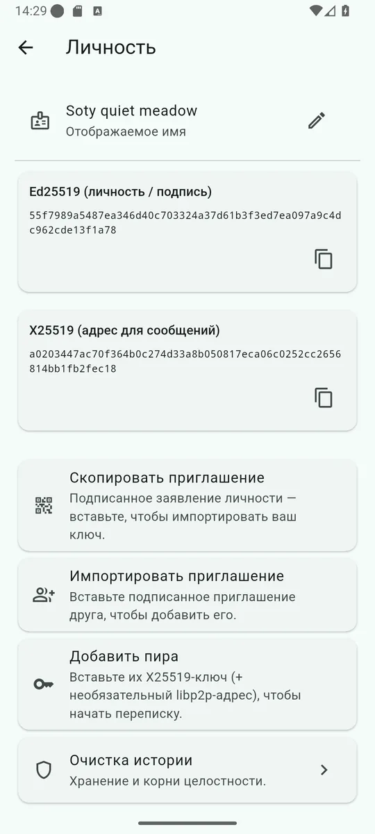 Экран «Личность» в Soty: отображаемое имя, ключи Ed25519 и X25519 и кнопка «Скопировать приглашение»