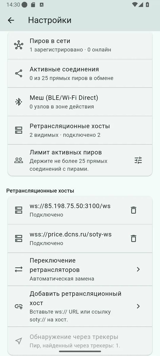 Раздел «Сеть» в настройках Soty: пиры, активные соединения, меш и ретрансляционные хосты